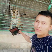 ���������� �����������, ���� ������� ���, 32 ����, ������������ ��� ������, ����� � ���������