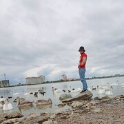  ,   , 24 ,   ,   , 