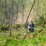 ���������� ���������, ������� Roman, 41