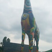 ���������� ����, ���� ������� Abdu, 37 ���, ������������ ��� ������, ����� � ���������, c�������� ���������, ���������