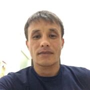 ���������� ����-���������, ���� ������� �����, 40 ���, ������������ ��� ������, ����� � ���������