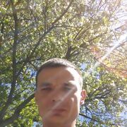 ���������� ������, ���� ������� ���������, 41 ���, ������������ ��� ������, ����� � ���������