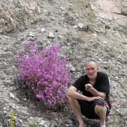   ,   , 65 ,   