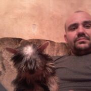 ���������� ��������������, ���� ������� ���� �, 42 ����, ������������ ��� ������, ���������