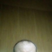  ,   , 49 ,  