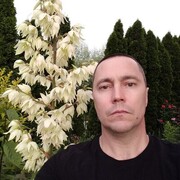  Jelcz,  , 50