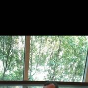 ���������� ������, ���� ������� Styopa, 40 ���, ������������ ��� ������, ����� � ���������