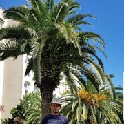 ���������� ������, ���� ������� ���������, 36 ���, ������������ ��� ������, ����� � ���������, c�������� ���������, ���������