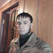 ���������� ���������, ���� ������� SALAMON, 96 ���, ������������ ��� ����� � ���������