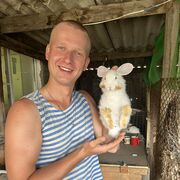 ���������� ���������, ���� ������� ������, 28 ���, ������������ ��� ������, ����� � ���������, c�������� ���������, ���������