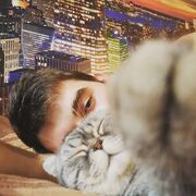  ,   Mefistotel, 28 ,   ,   , c , 