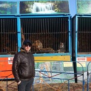 ���������� ����, ���� ������� �����, 36 ���, ������������ ��� ����� � ���������, c�������� ���������