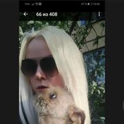  -,   , 46 ,   ,   , c 