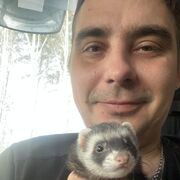 ���������� ���������, ���� ������� ����, 38 ���, ������������ ��� ������, ����� � ���������, c�������� ���������