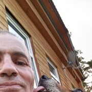  ,   , 60 ,   ,   