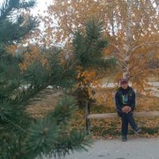  ,   Semen, 34 ,   