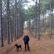 ���������� ����, ���� ������� ���������, 40 ���, ������������ ��� ������, ����� � ���������, c�������� ���������