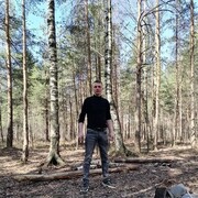  -,   , 38 ,   ,   