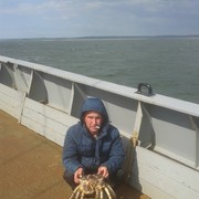 ���������� ������-���������, ���� ������� ������, 38 ���, ������������ ��� ������, ����� � ���������, c�������� ���������