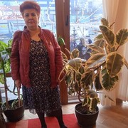  ,   , 51 ,   ,   , c 