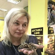 ���������� �����-���������, ���� ������� �����, 51 ���, ������������ ��� ����� � ���������, c�������� ���������