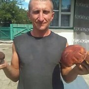  ,   , 44 ,     , c 