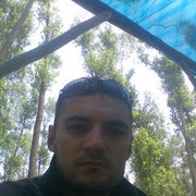  ,   Grich, 44 ,   ,   , c 