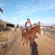 ���������� ����������, ���� ������� �������, 36 ���, ������������ ��� ������, ����� � ���������