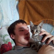 ���������� ���������, ���� ������� �������, 28 ���, ������������ ��� ������, ����� � ���������, c�������� ���������