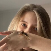 ���������� ������, ���� ������� ����, 20 ���, ������������ ��� ������, ����� � ���������