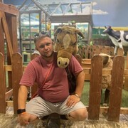 ���������� �������, ���� ������� ������, 29 ���, ������������ ��� ����� � ���������, c�������� ���������