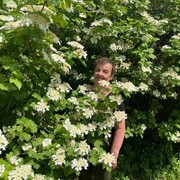 ���������� ��������, ���� ������� ����, 73 ����, ������������ ��� ������, ����� � ���������