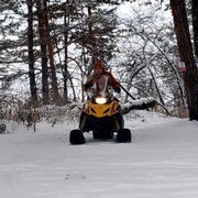 ���������� �����������, ���� ������� ������, 39 ���, ������������ ��� ����� � ���������, c�������� ���������