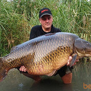 ���������� �������, ���� ������� BEK, 41 ���, ������������ ��� ������, ����� � ���������, c�������� ���������