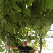 ���������� ������, ���� ������� �������, 43 ����, ������������ ��� ������, ����� � ���������, c�������� ���������