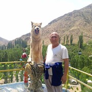 ���������� ������, ���� ������� �����, 54 ����, ������������ ��� ������, ����� � ���������