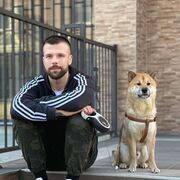 ���������� ������, ���� ������� �������� ���, 36 ���, ������������ ��� ������, ����� � ���������, c�������� ���������