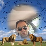 ���������� �������, ���� ������� ������, 44 ����, ������������ ��� ������, ����� � ���������, c�������� ���������, ���������