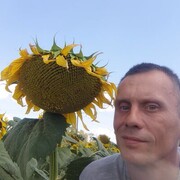 ���������� ������-��-����, ���� ������� ������, 43 ����, ������������ ��� ������, ����� � ���������