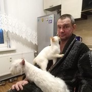 ���������� ������-��-����, ���� ������� ��������, 50 ���, ������������ ��� ������, ����� � ���������, c�������� ���������