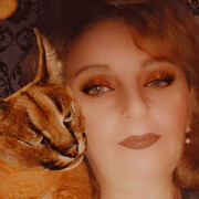 ���������� ���������, ���� ������� ����, 49 ���, ������������ ��� ������, ����� � ���������