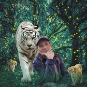 ���������� ���������, ���� ������� ������, 38 ���, ������������ ��� ������, ����� � ���������, c�������� ���������