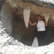  ,   , 50 ,   ,   , c 