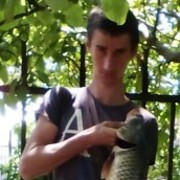  ,  , 31