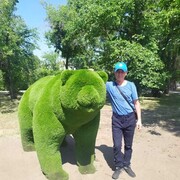  ,   , 41 ,   c 