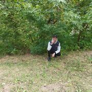  ,   Wolf, 41 ,   ,   