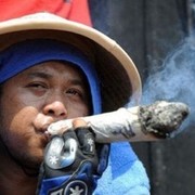 ���������� ������, ���� ������� ����, 43 ����, ������������ ��� ������