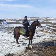 ���������� ������, ���� ������� �����, 44 ����, ������������ ��� ������, ����� � ���������, c�������� ���������, ���������