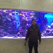  ,   Vladimir, 40 ,   ,   , c 