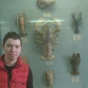 ���������� �����-���������, ���� ������� �������, 41 ���, ������������ ��� ������